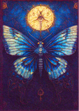 Postkarte DIN A6 - Schmetterling 01 (M19)